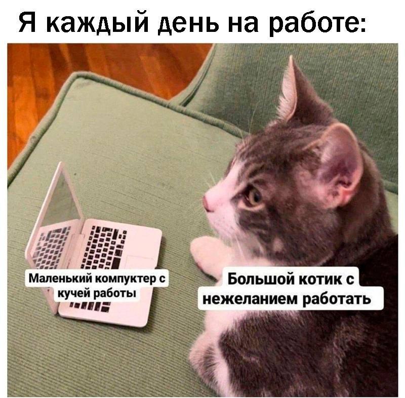 Ловите подборку самых интересных постов за последние недели!
➡️ Что происходит с рынком труда в России?
➡️ Топ-10 полезных телеграм-каналов в сфере IT и AI!
➡️ Может ли ИИ написать резюме?
➡️ Топ 100 ... | Сетка — социальная сеть от hh.ru