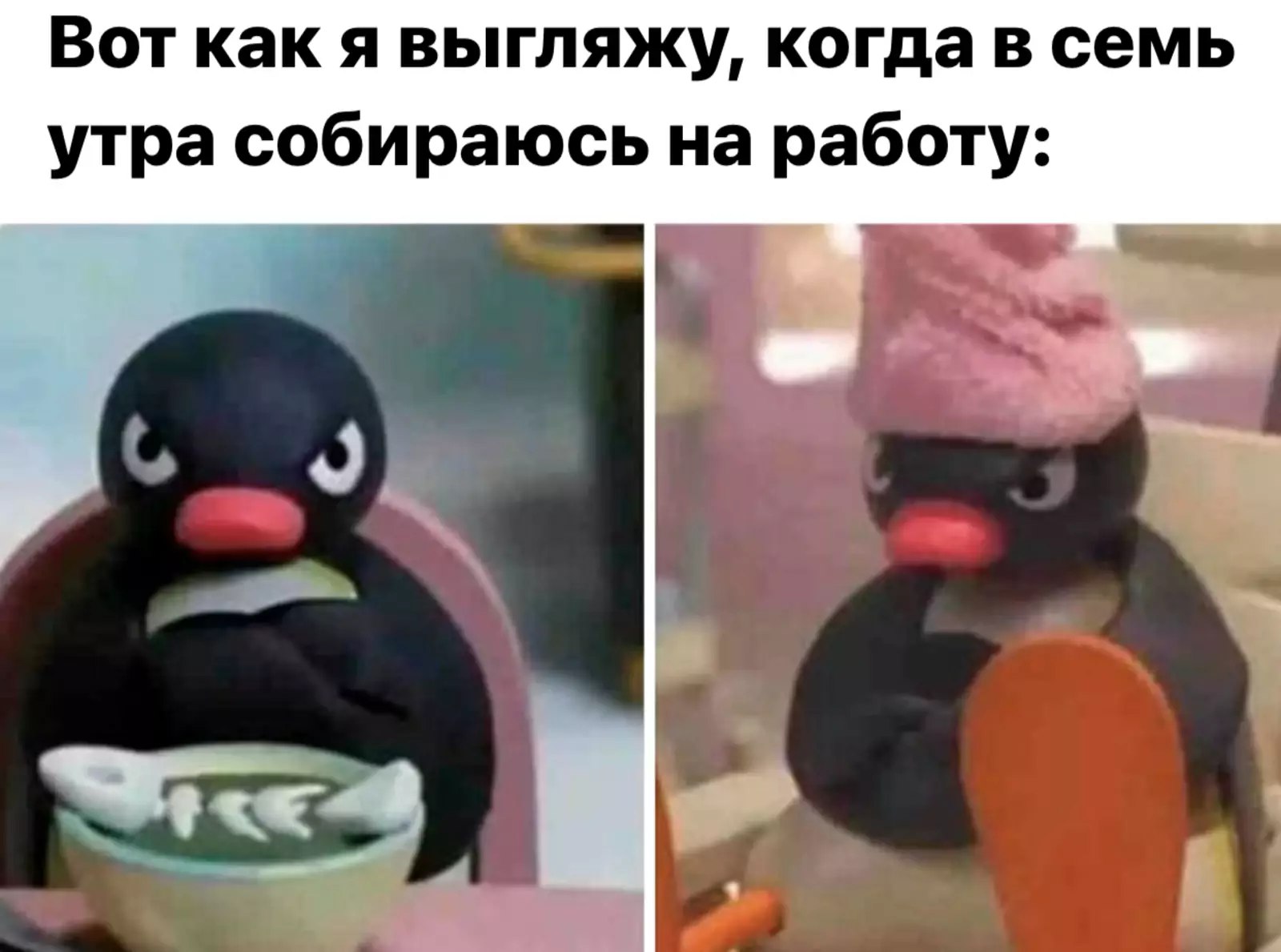 Ловите подборку самых интересных постов за последние недели!
➡️ Что происходит с рынком труда в России?
➡️ Топ-10 полезных телеграм-каналов в сфере IT и AI!
➡️ Может ли ИИ написать резюме?
➡️ Топ 100 ... | Сетка — социальная сеть от hh.ru