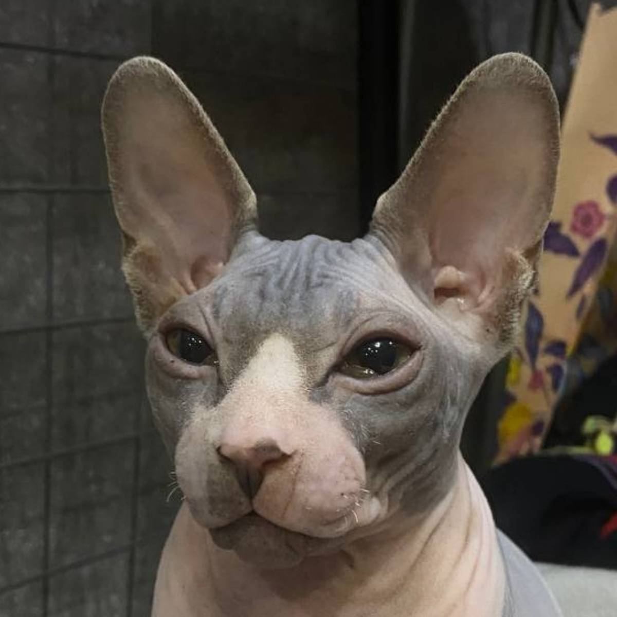 Будни эйчара