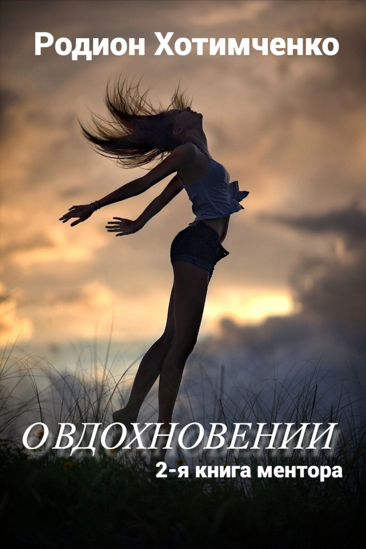 https://www.litres.ru/book/rodion-hotimchenko/o-vdohnovenii-2-ya-kniga-mentora-71654926/ | Сетка — социальная сеть от hh.ru