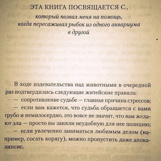 Как поддержать команду в турбулентное время?
Когда меняются приоритеты и процессы, команда теряет уверенность.
«Шеф, все пропало! Клиент уезжает!.. Гипс снимают!..» 😭
Важно не терять опору | Сетка — социальная сеть от hh.ru