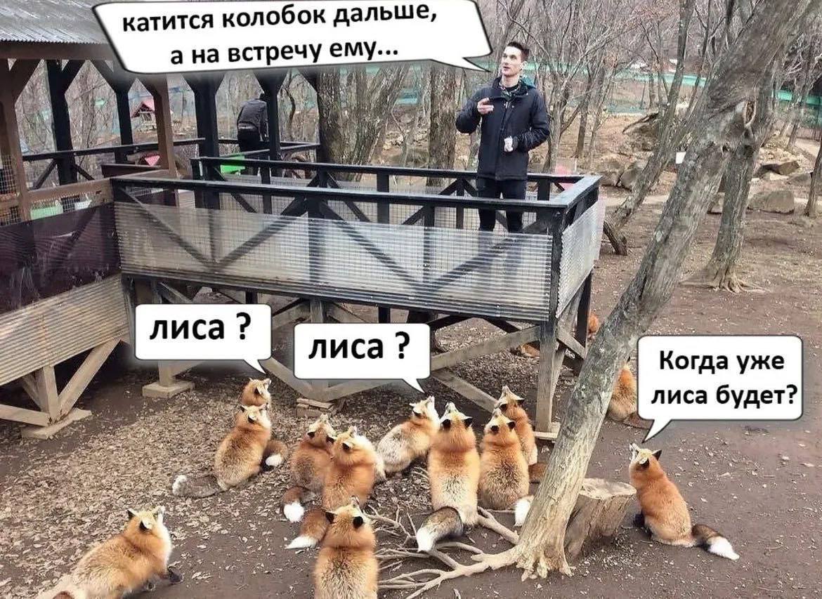 Часто в процессе аудита вижу, что обучающие программы перегружены избыточной информацией, которая отвлекает от сути и замедляет процесс обучения | Сетка — социальная сеть от hh.ru
