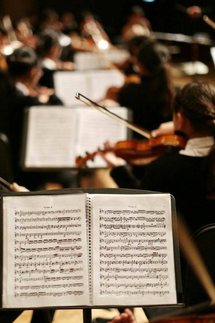 🎻Скрипичное шоу Delight в саду имени Баумана
23 февраля в 16:30, 17:30
Яркое скрипичное шоу порадует вас репертуаром, который воплощает в себе дух праздника, добавляя в него звуки живой скрипки
▫️Вход... | Сетка — социальная сеть от hh.ru