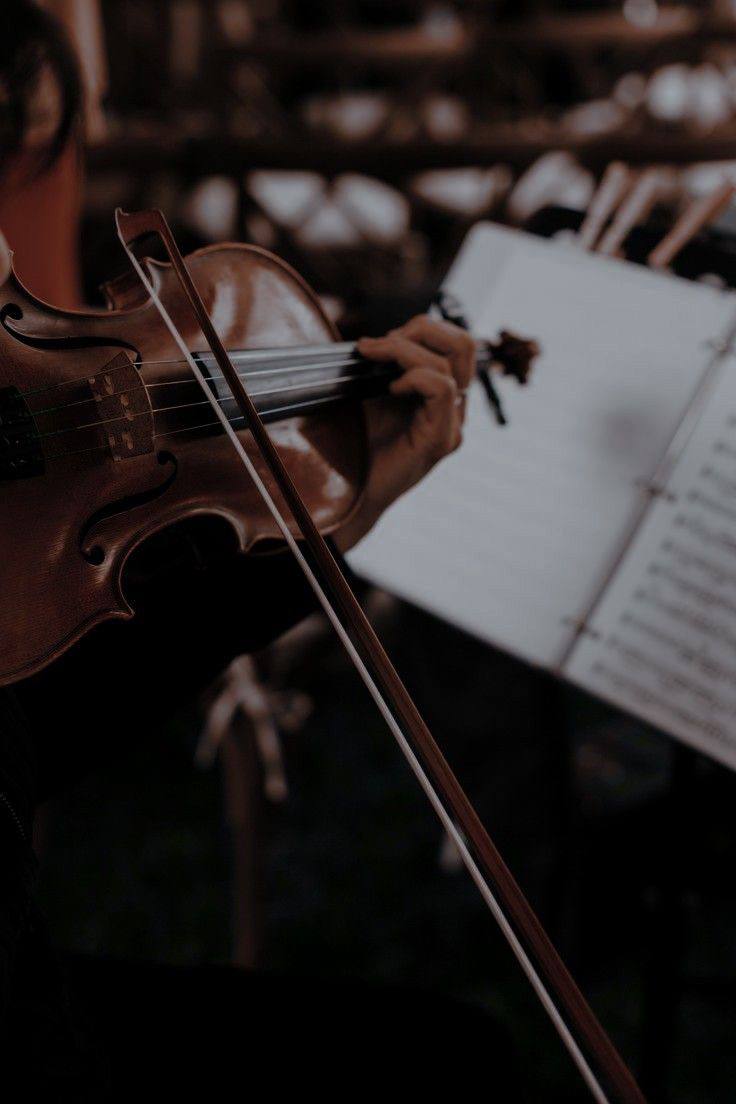 🎻Скрипичное шоу Delight в саду имени Баумана
23 февраля в 16:30, 17:30
Яркое скрипичное шоу порадует вас репертуаром, который воплощает в себе дух праздника, добавляя в него звуки живой скрипки
▫️Вход... | Сетка — социальная сеть от hh.ru