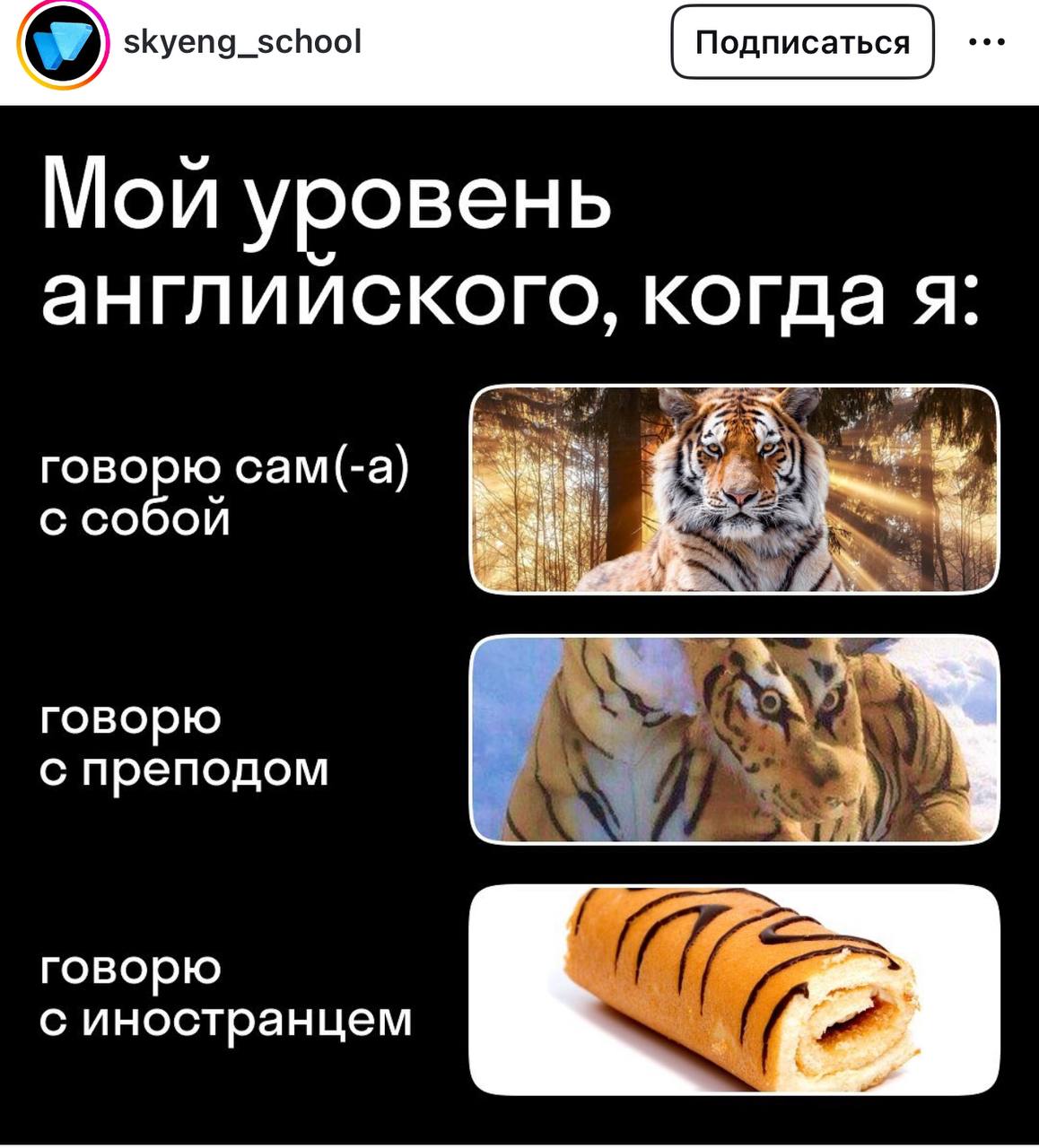 Мем дня | Сетка — социальная сеть от hh.ru