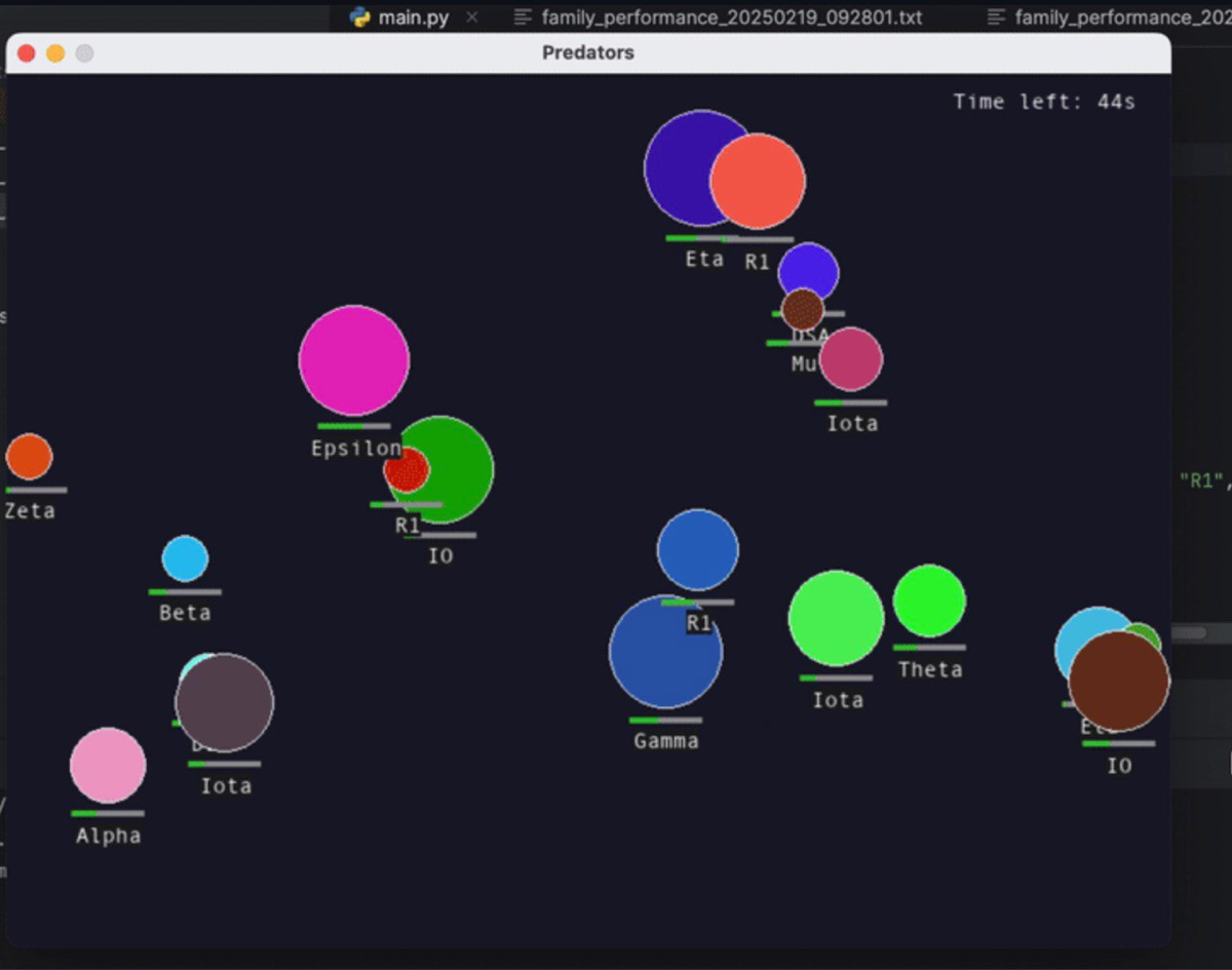 🚀 Новый проект: Симуляция хищников на Python! | Сетка — социальная сеть от hh.ru