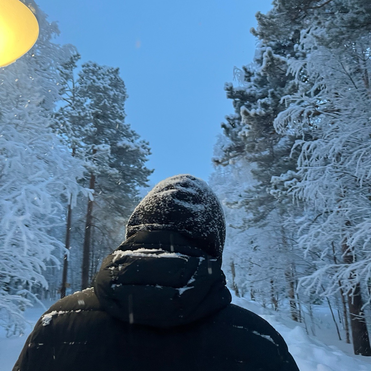 Владимир Васильев