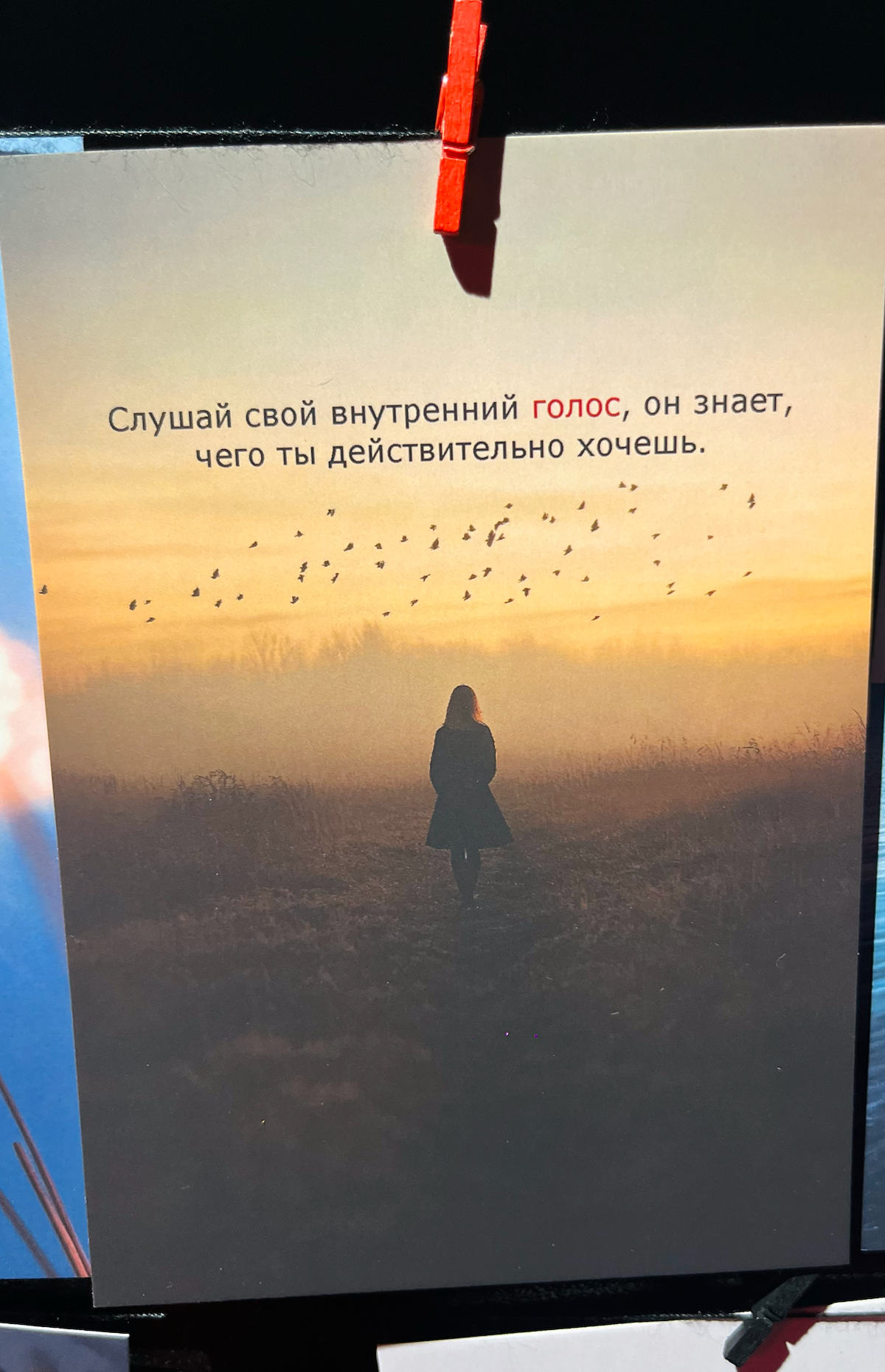 Про любовь ❤️.
Вчера посетила выставку «В путь» в пространстве Seno | Сетка — социальная сеть от hh.ru