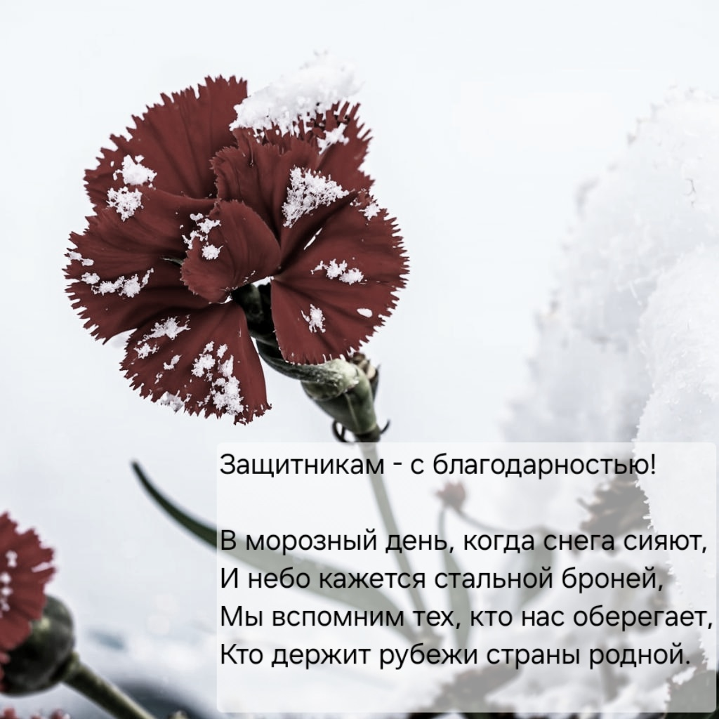 С 23 февраля! С праздником ⚘️🤗 | Сетка — социальная сеть от hh.ru