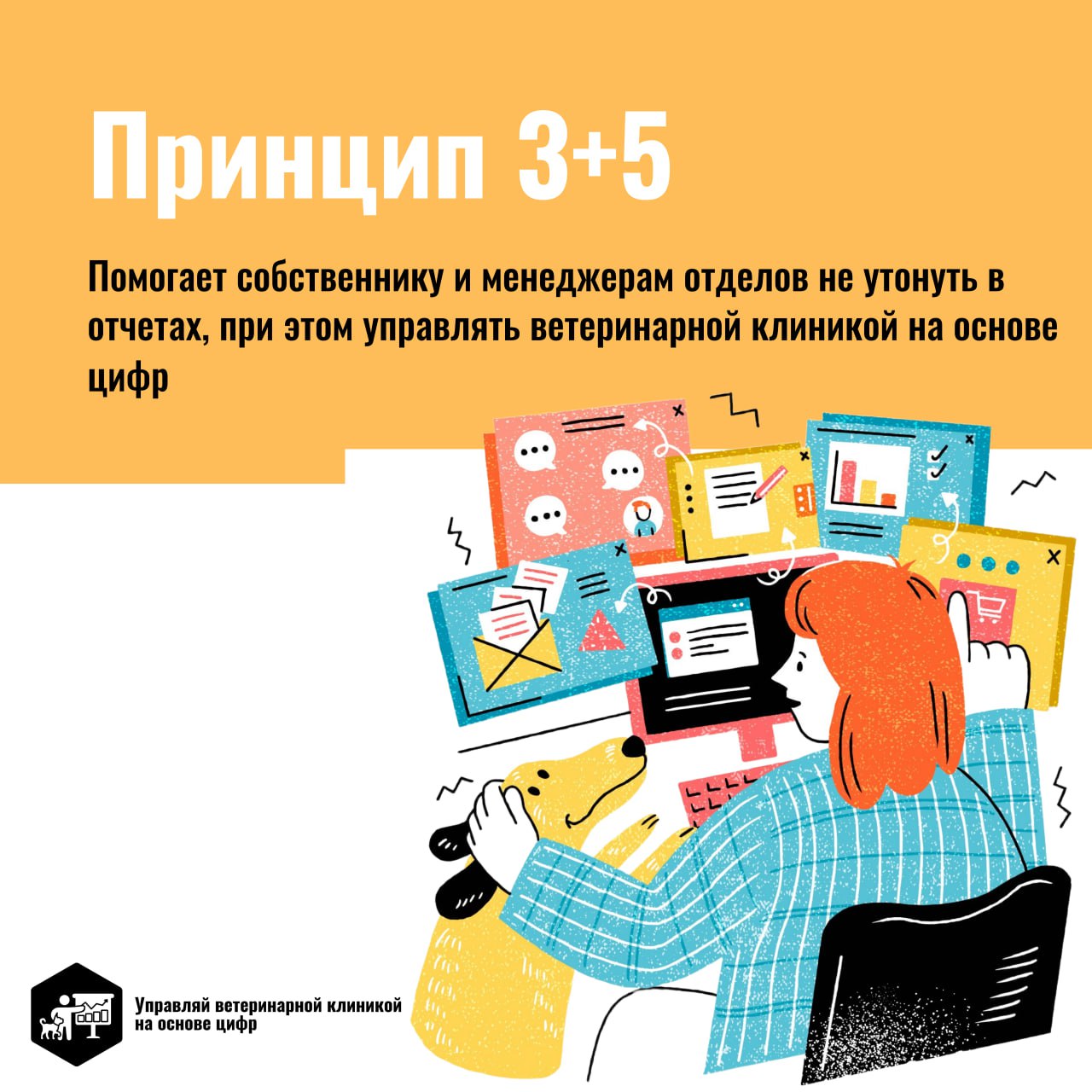 Принцип 3+5 помогает владельцам ветеринарных клиник не запутаться в отчётах и сосредоточиться на наиболее важных аспектах бизнеса | Сетка — социальная сеть от hh.ru