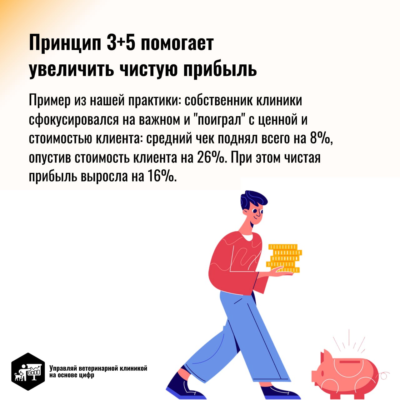 Принцип 3+5 помогает владельцам ветеринарных клиник не запутаться в отчётах и сосредоточиться на наиболее важных аспектах бизнеса | Сетка — социальная сеть от hh.ru
