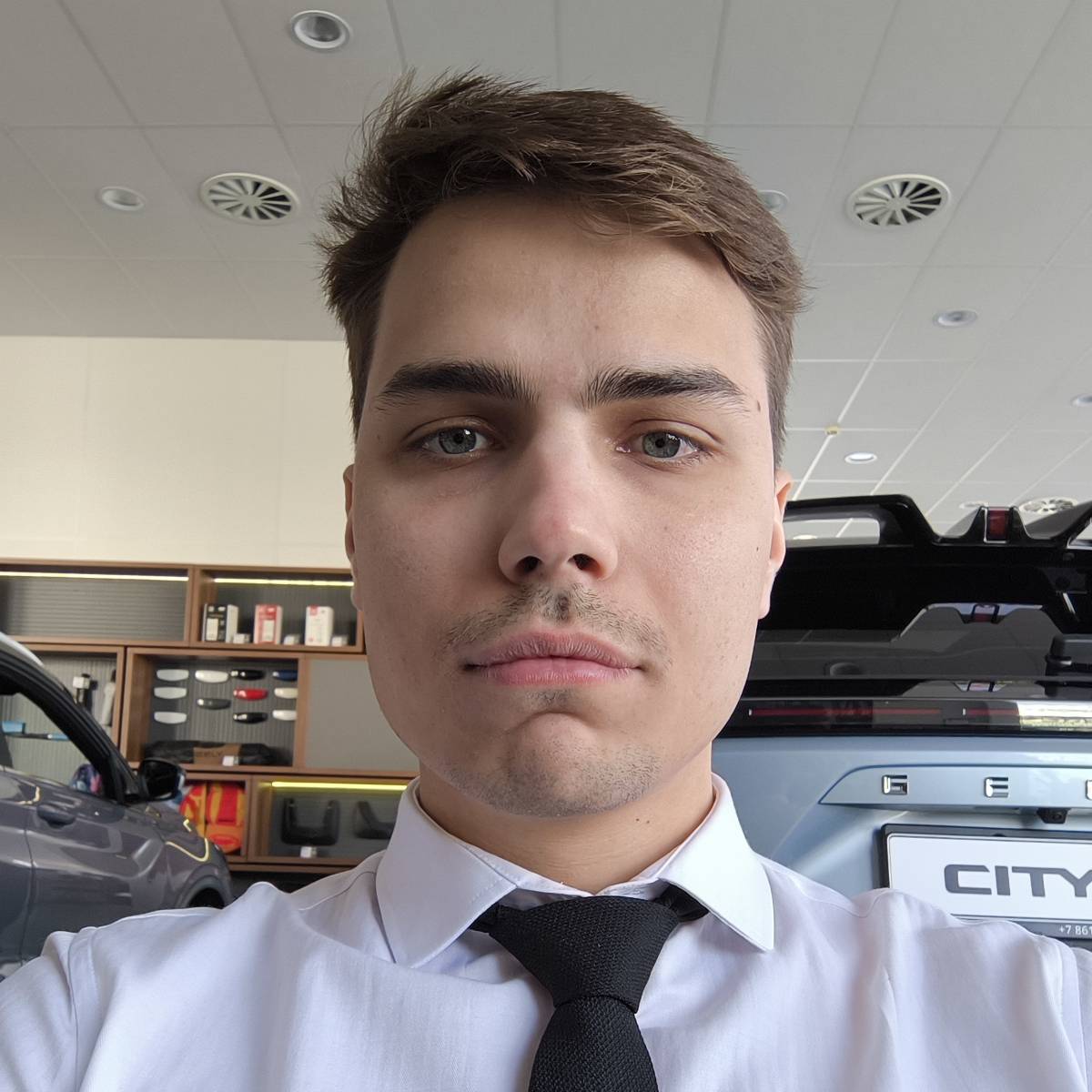 Network member avatar