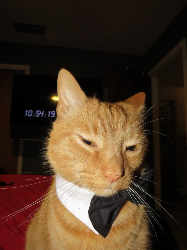 Правда ли, что рынок DS перенасыщен junior’ами | Сетка — социальная сеть от hh.ru