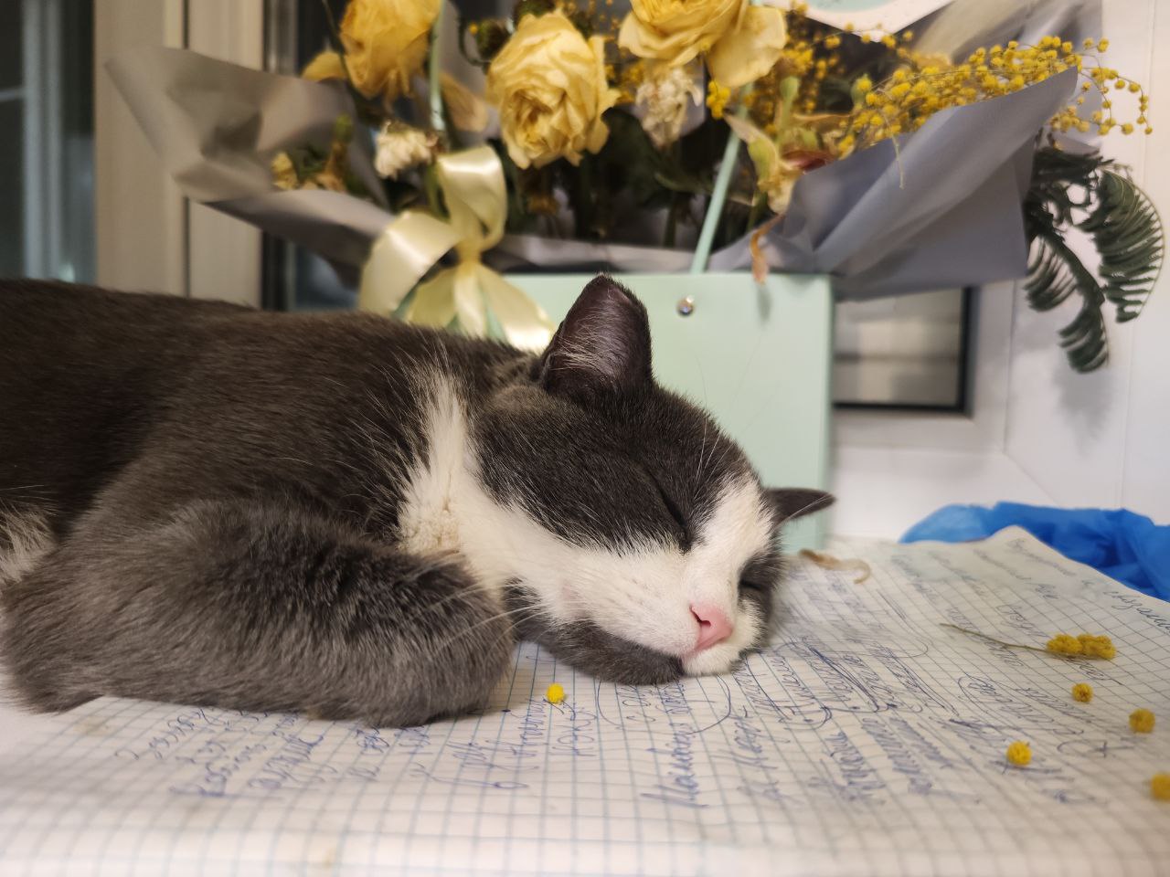 😅 Монетизация пушистых нахлебников
Прикиньте, кошки и собаки живут у нас на всём готовеньком: еда, жильё, медицинское обслуживание, развлечения | Сетка — социальная сеть от hh.ru