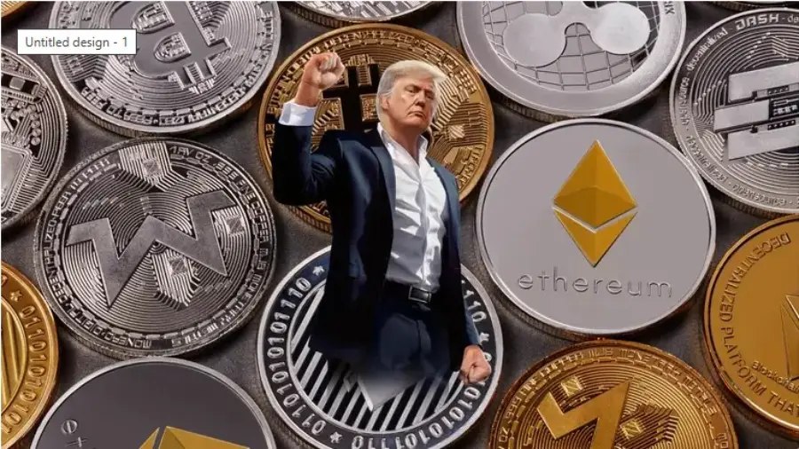 Chainplay: 80% инвесторов вложились в «президентские мемкоины» | Сетка — социальная сеть от hh.ru
