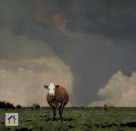 Ницше однажды заметил, что основное различие между человеком и коровой состоит в том, что корова знает, как существовать | Сетка — социальная сеть от hh.ru