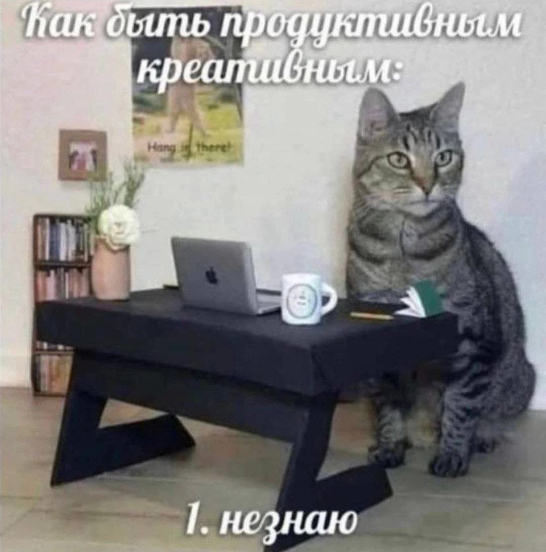 Лучше не вставать с кровати 🫤 | Сетка — социальная сеть от hh.ru