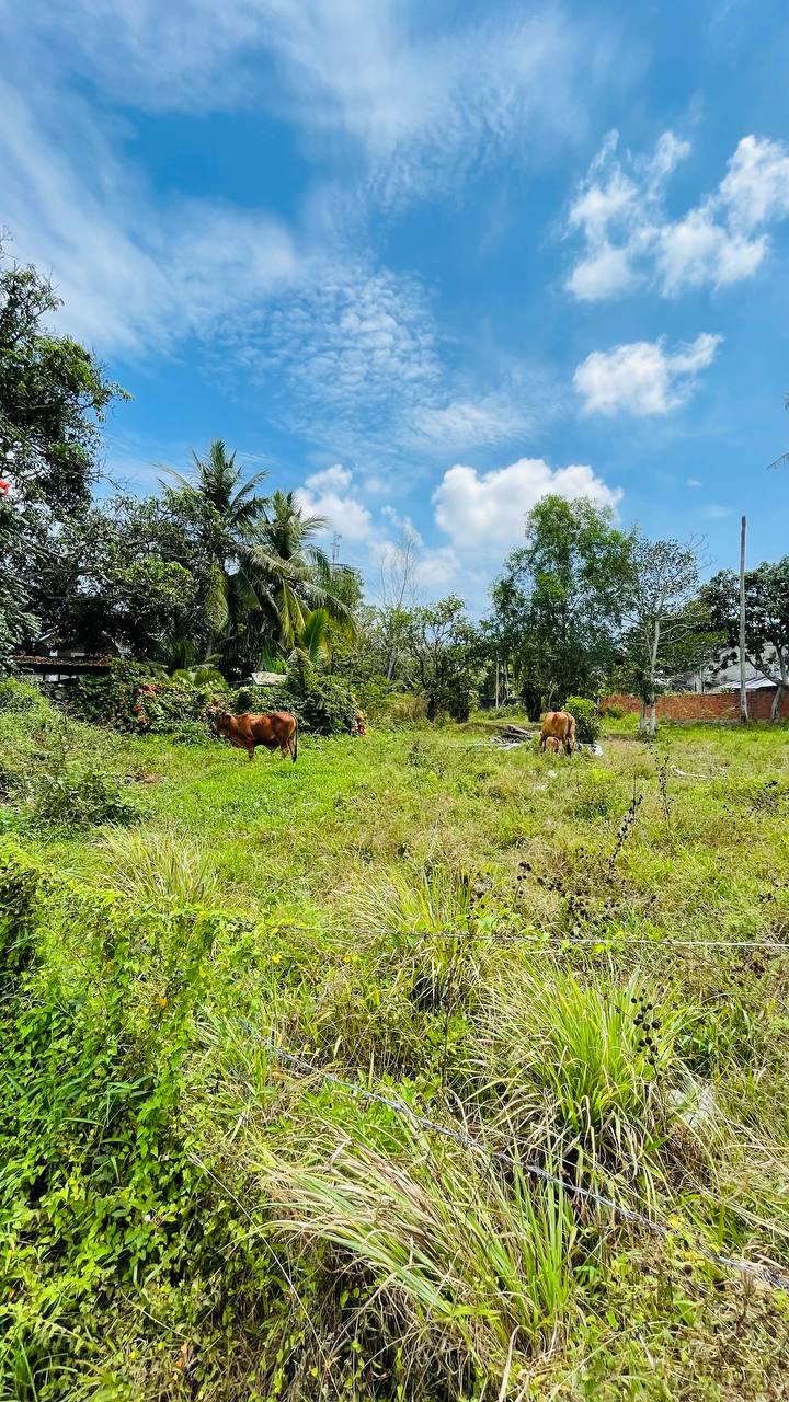 Уехал из Москвы. Улетел через пол планеты. 
Снял дом в деревне. Буйволы, крестьяне, петухи и цикады, горы, ветра и джунгли. Кто-то что-то мастерит. Пилит, стучит. Сплошная звуковая органика | Сетка — социальная сеть от hh.ru