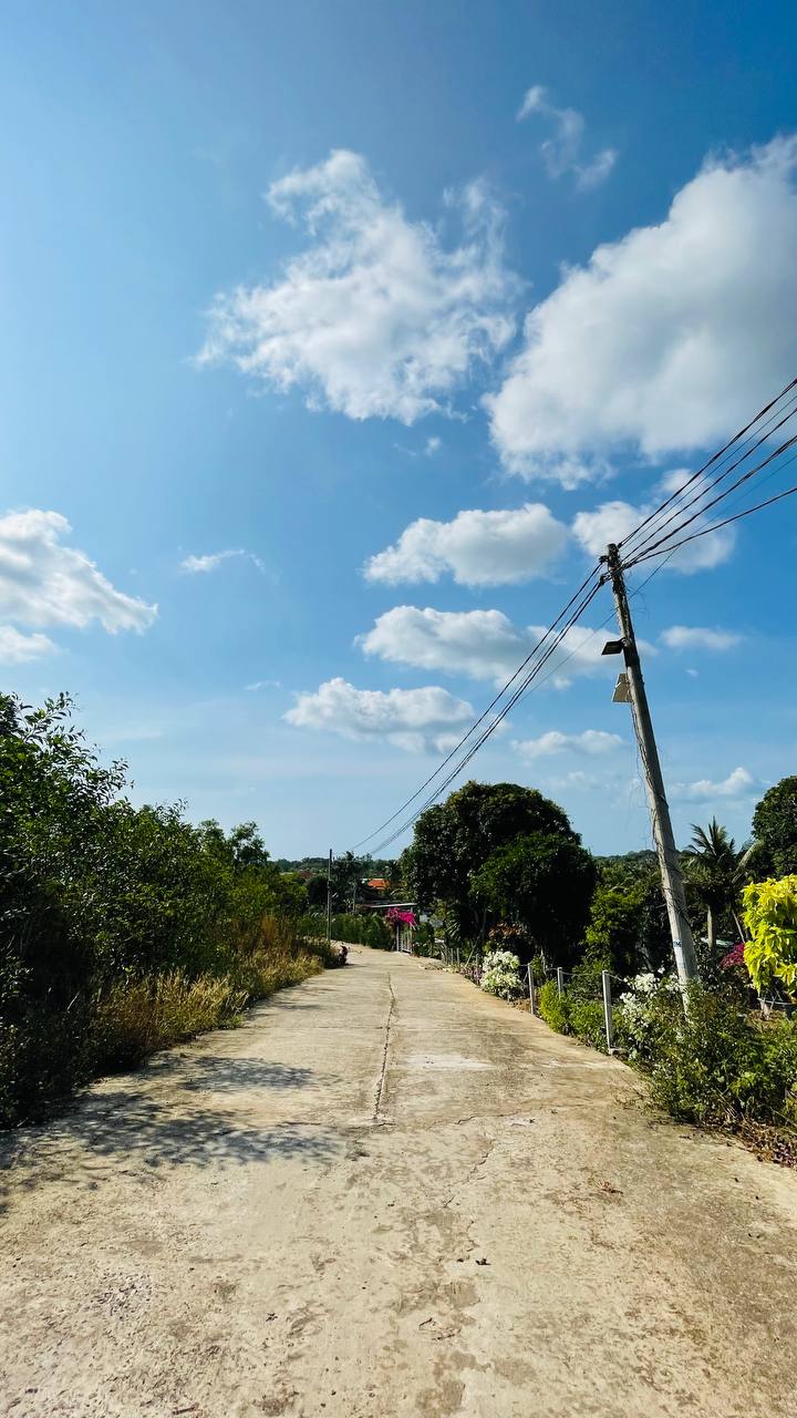 Уехал из Москвы. Улетел через пол планеты. 
Снял дом в деревне. Буйволы, крестьяне, петухи и цикады, горы, ветра и джунгли. Кто-то что-то мастерит. Пилит, стучит. Сплошная звуковая органика | Сетка — социальная сеть от hh.ru