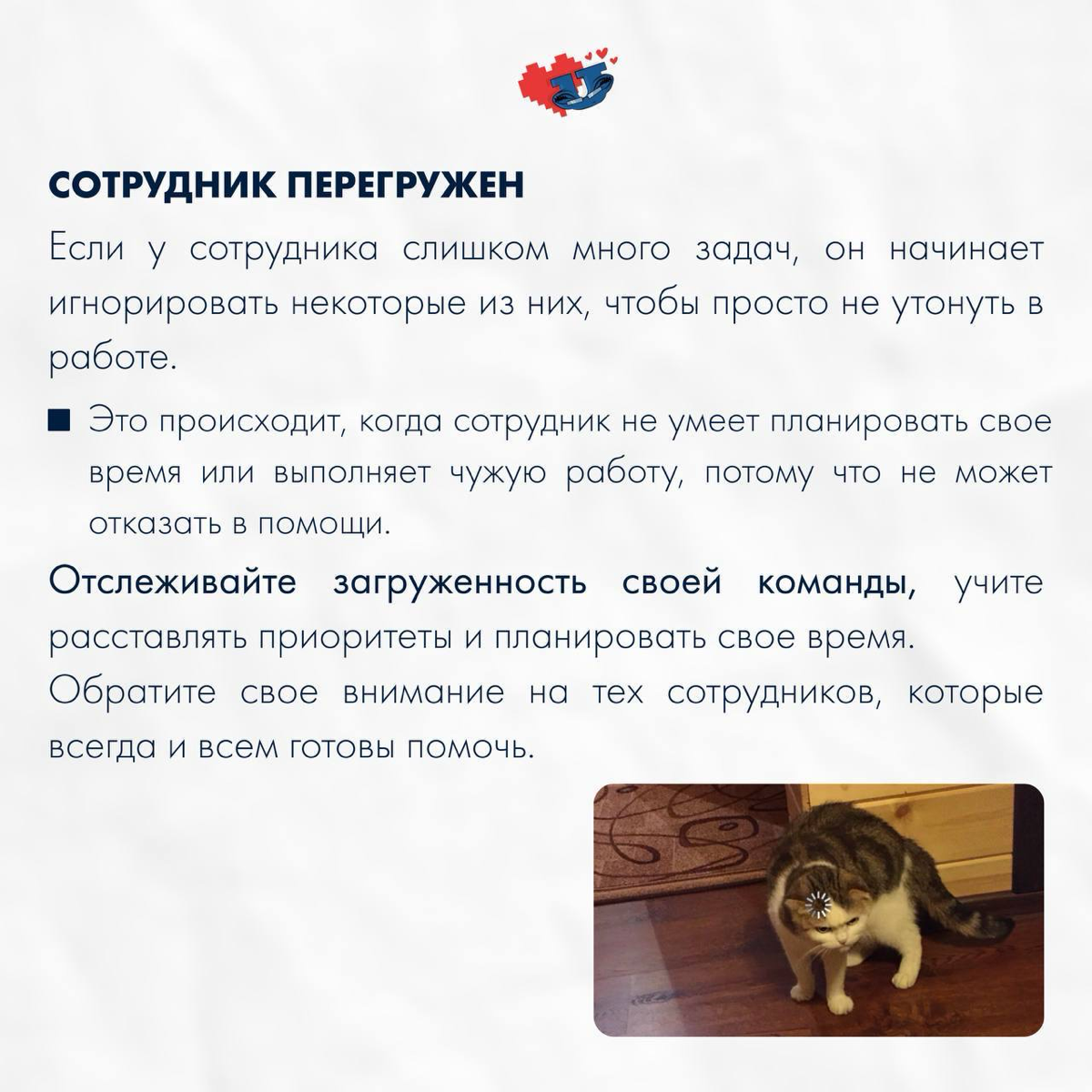 ❓ Почему сотрудники игнорируют задачи? | Сетка — социальная сеть от hh.ru