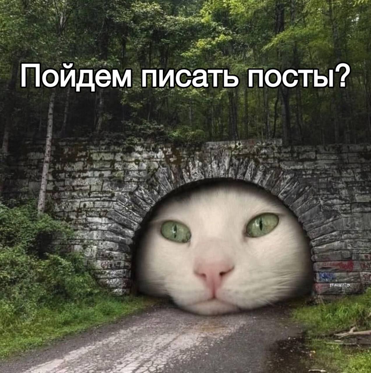 📝 Ищем SMM-щика в кибербезопасность
Кто ещё не знает, я с июня прошлого года работаю км-ом в BI.ZONE, одной из топовых компаний по кибербезопасности в России | Сетка — социальная сеть от hh.ru