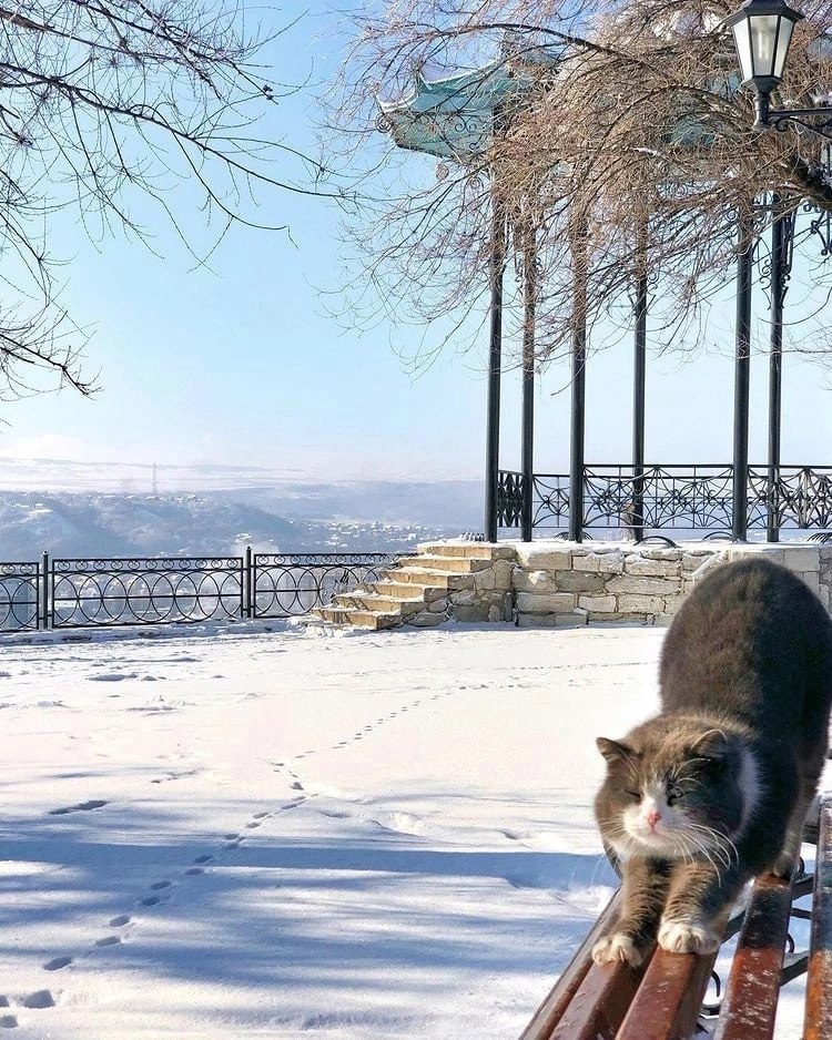 Типичный отдыхающий Пятигорска. Ждет ваших лайков❤️
📷 Артём Мелетов
@stavropolyevibe | Сетка — социальная сеть от hh.ru