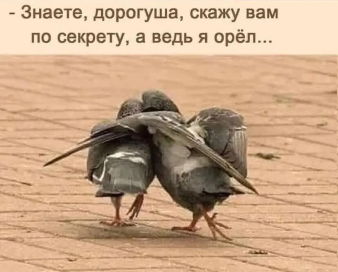 🔴Компания в Китае потребовала от своих одиноких или разведенных сотрудников вступить в брак до конца сентября 2025 года, в противном случае они будут уволены | Сетка — социальная сеть от hh.ru