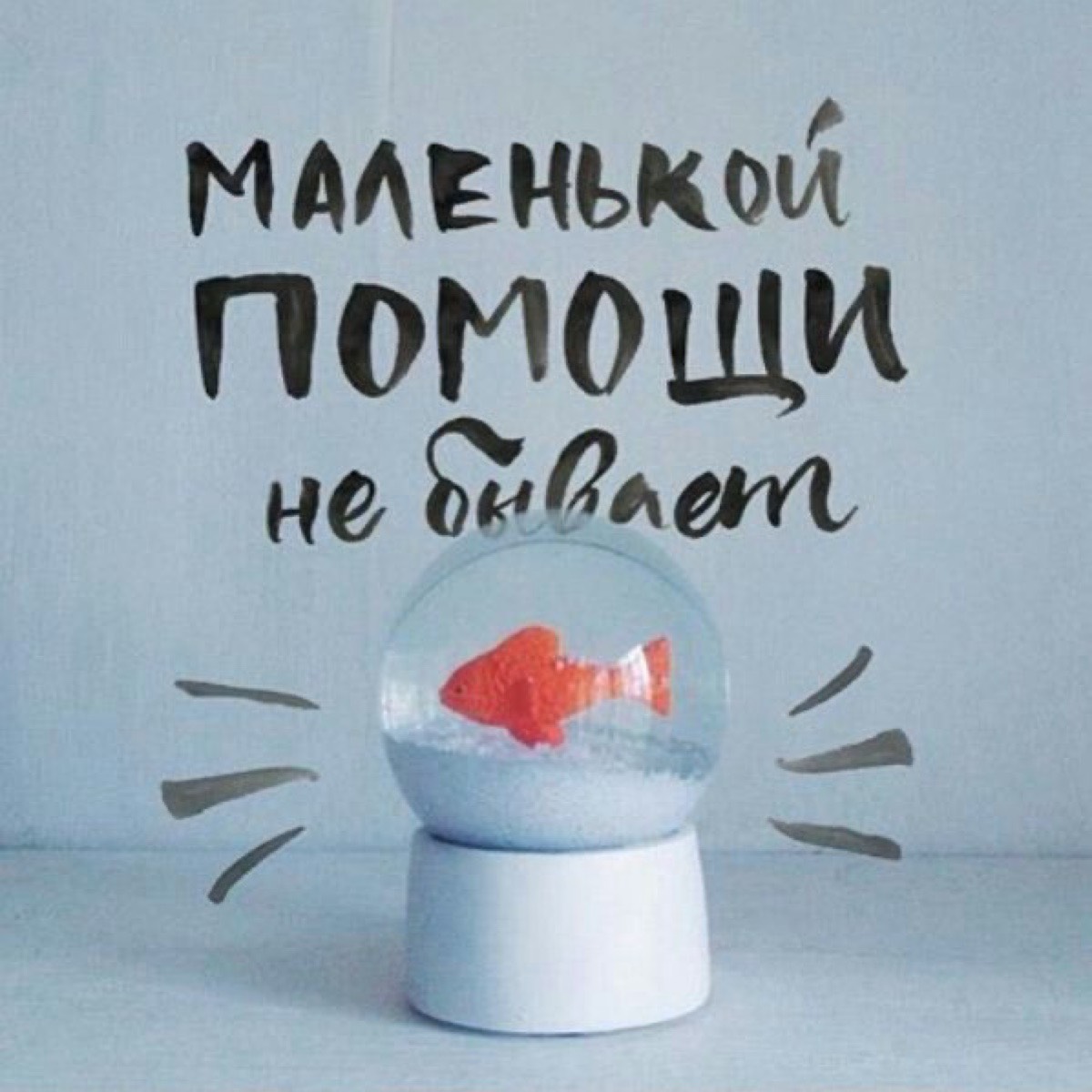 Елизавета Акимова