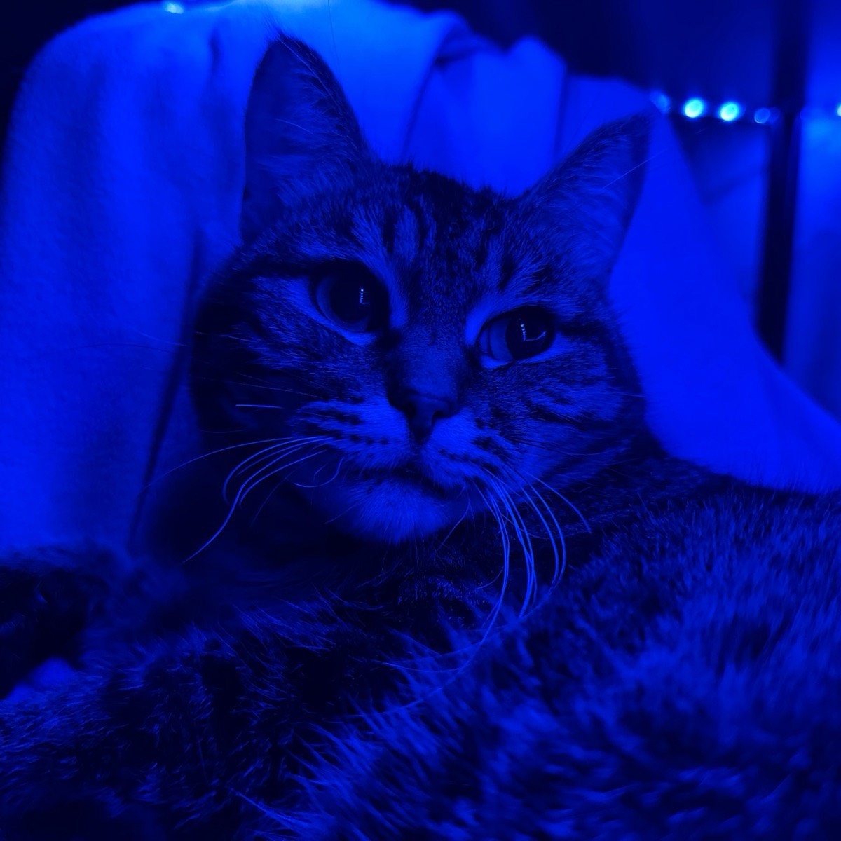 Александр Агеев