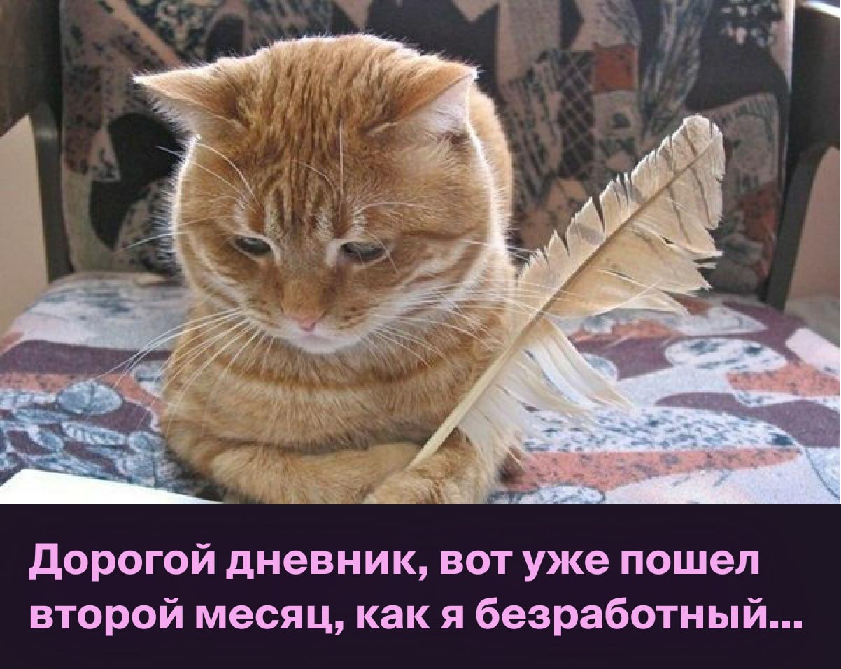 Про поиск работы, пет-проекты и отдых
Раньше я не понимал, как люди увольняются «в никуда» — без оффера, да ещё и берут перерыв на отдохнуть от работы. А теперь сам в такой ситуации | Сетка — социальная сеть от hh.ru