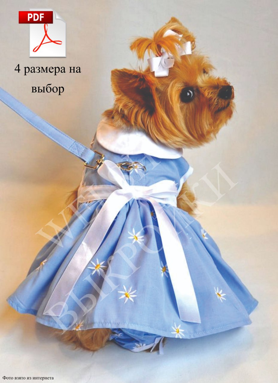 С наступлением весны хочется тепла ☀️, солнца 🌸, ярких красок 🎨! Мы предлагаем Вам, для поднятия настроения 😍, порадовать себя и вашего любимца 🐶 новым весенним нарядом 👗 | Сетка — социальная сеть от hh.ru
