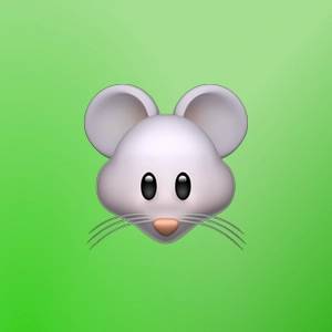 Рустам Шакиров | Сетка — социальная сеть от hh.ru