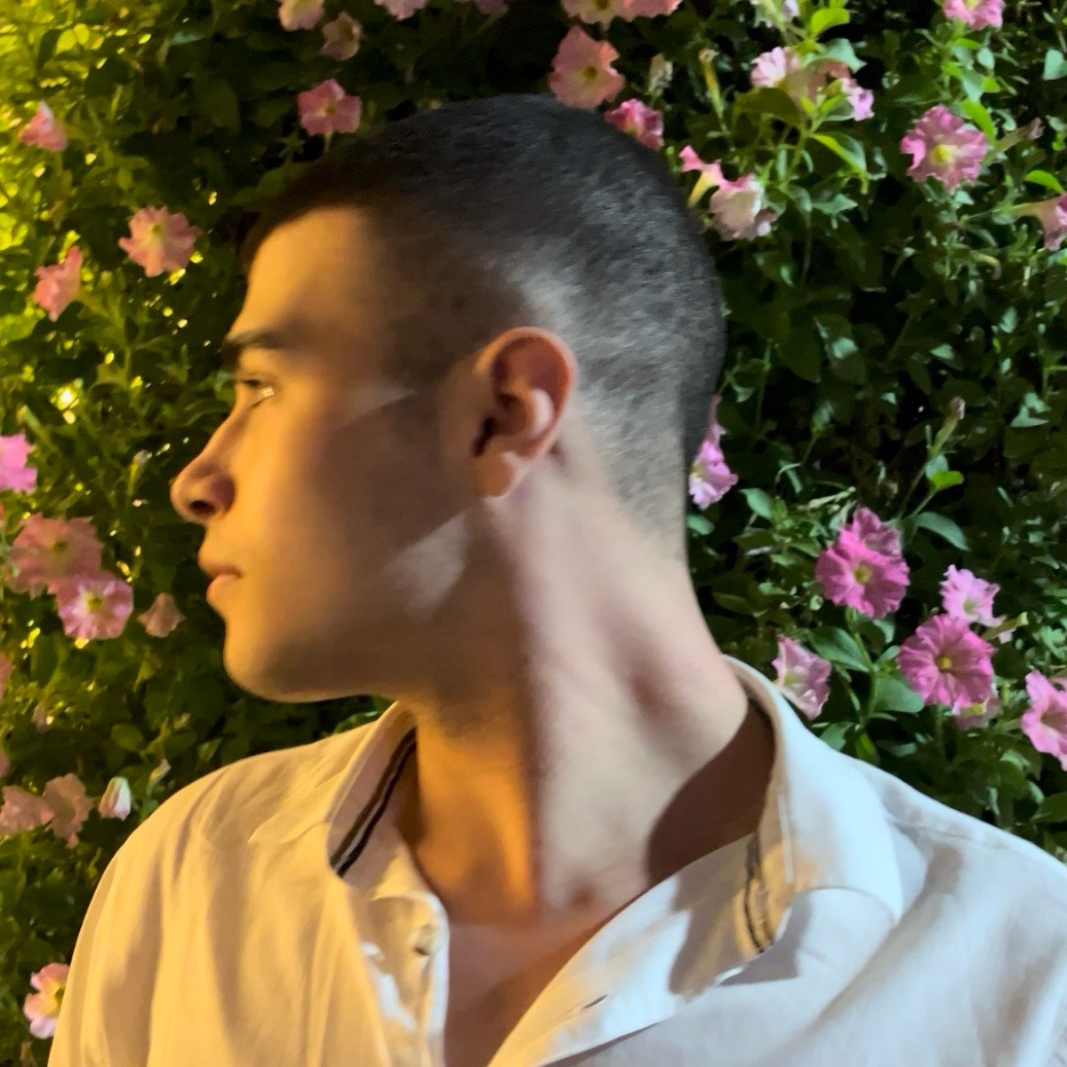 Эльмир Мурадов