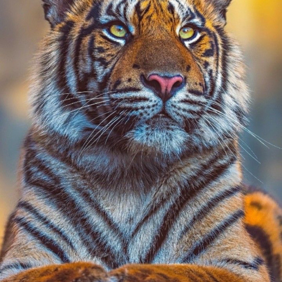 Юрий Смирнов