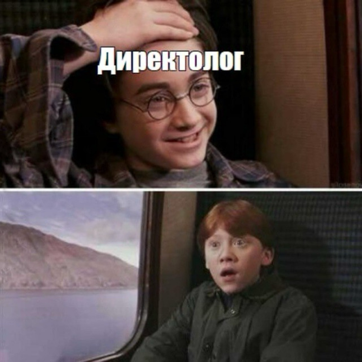 Заметки Директолога