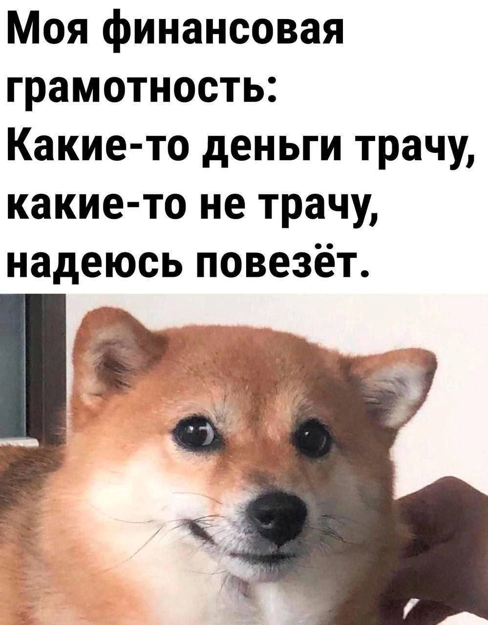 📊KPI по мемам | Сетка — социальная сеть от hh.ru