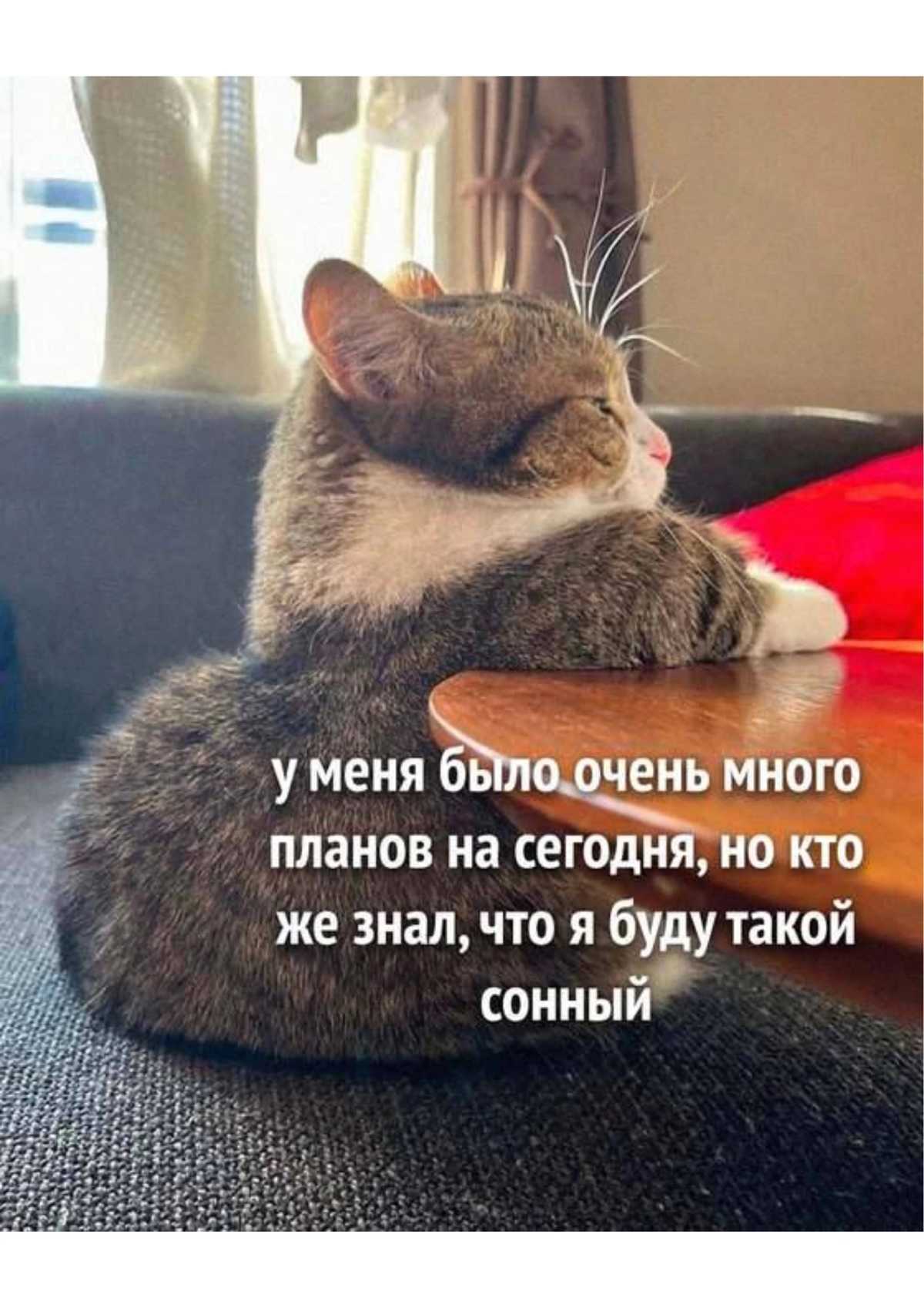 Продуктивного дня, коллеги🔥 | Сетка — социальная сеть от hh.ru