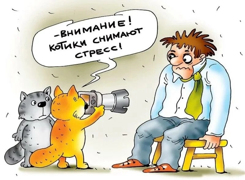 Недавно я узнала о статистике страхов на работе. Оказалось, что самый популярный страх у российских специалистов — это ошибка в выборе компании или сферы деятельности | Сетка — социальная сеть от hh.ru