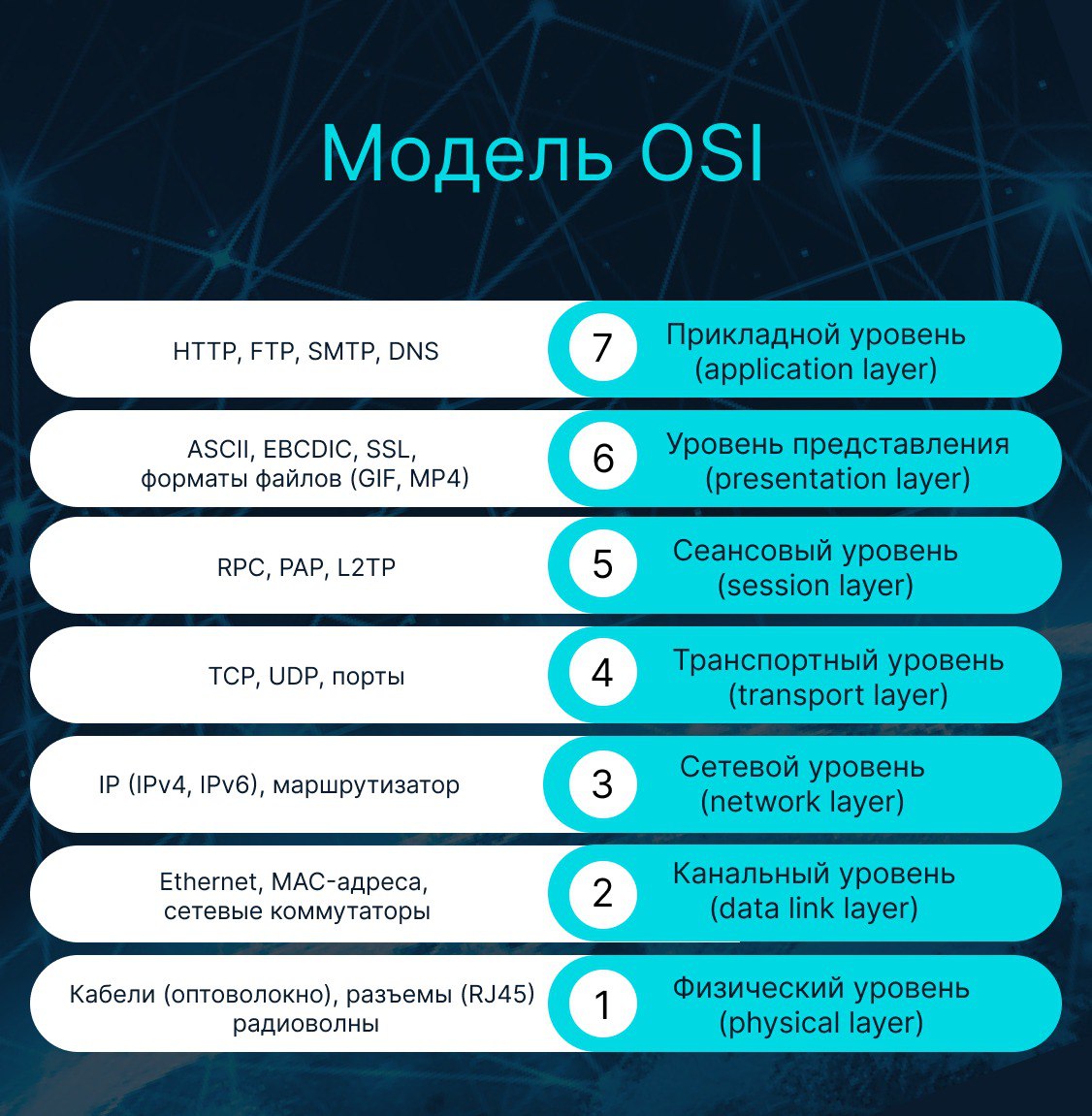Модель OSI
https://habr.com/ru/articles/876628/ | Сетка — социальная сеть от hh.ru