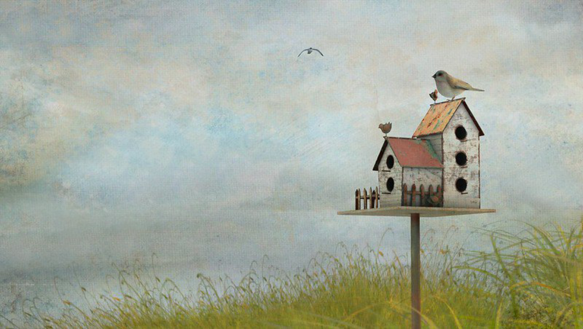 Строительные леса личности | Сетка — социальная сеть от hh.ru