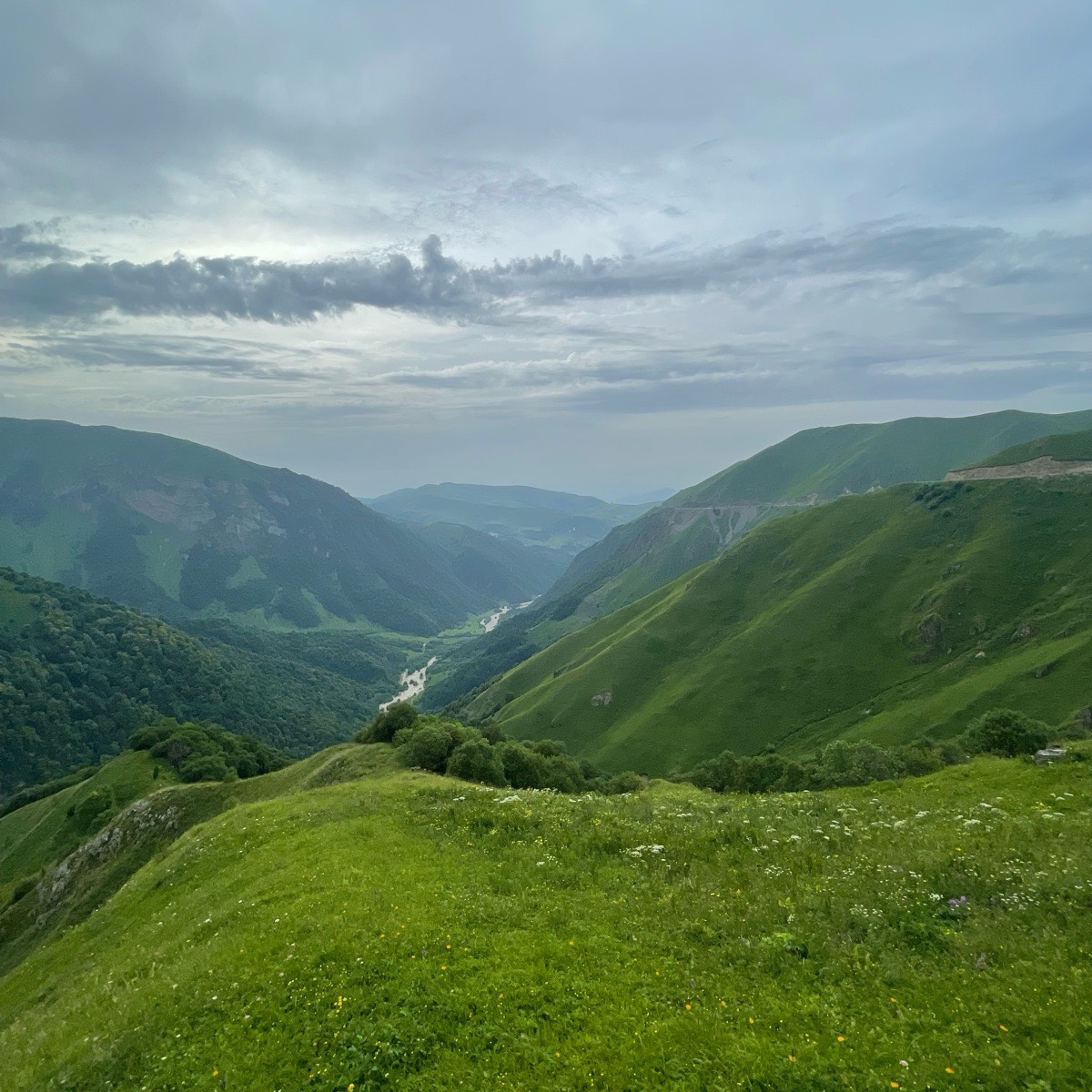 Мухарий Ахмадов | Сетка — социальная сеть от hh.ru