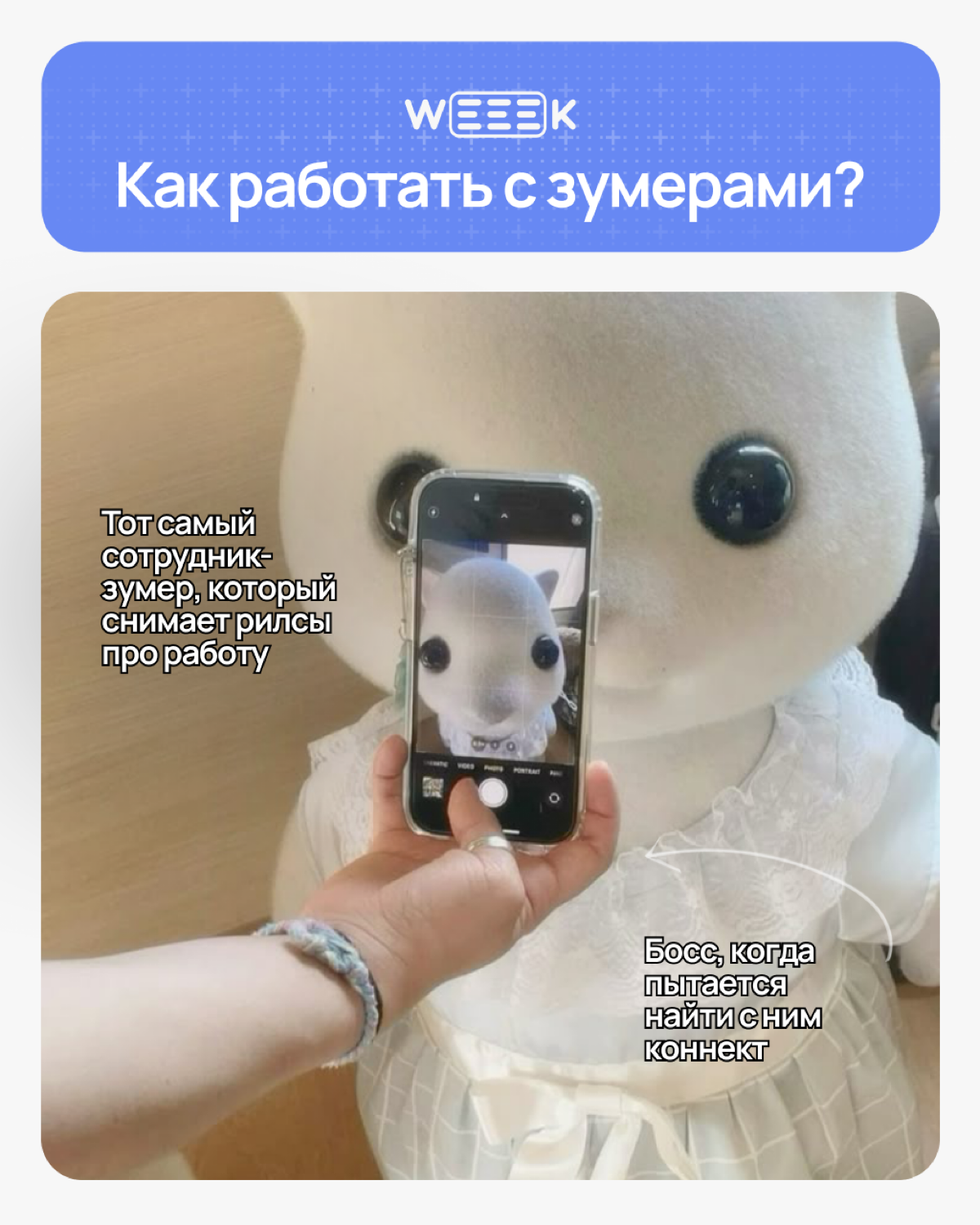 Зумеры в команде — как котики. Они независимые, своенравные и всегда знают, чего хотят
Поколение Z выросло в мире, где важен не только результат, но и атмосфера | Сетка — социальная сеть от hh.ru