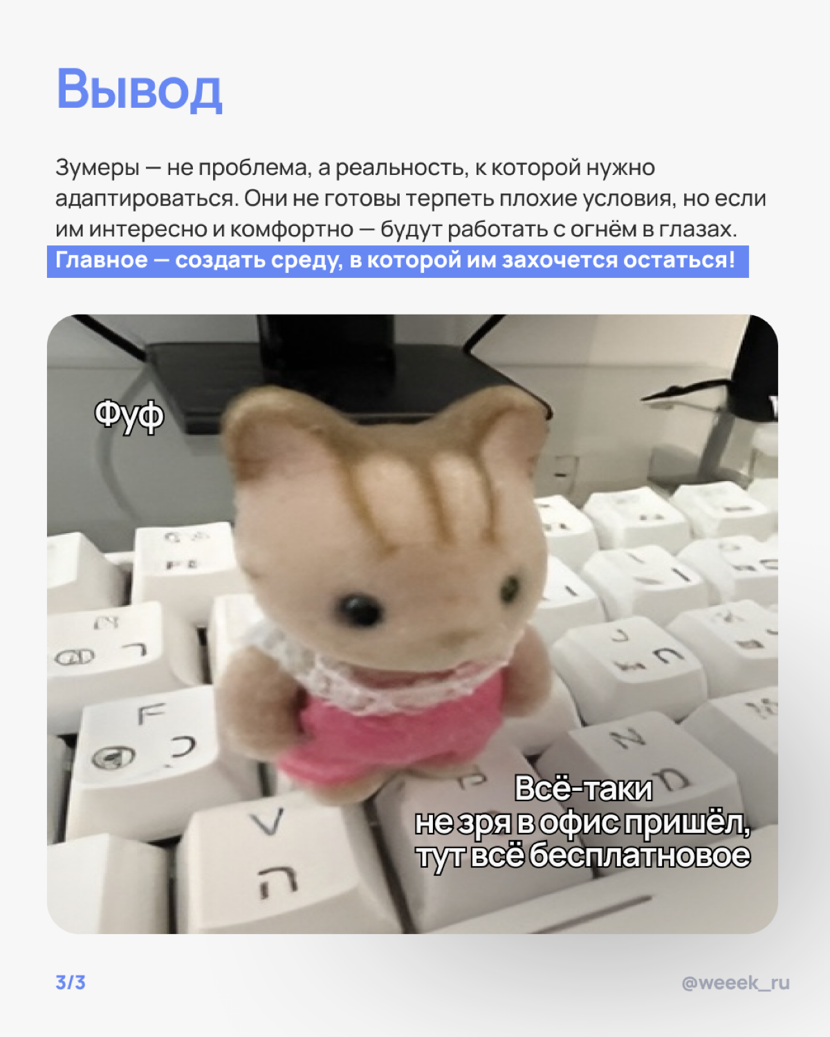 Зумеры в команде — как котики. Они независимые, своенравные и всегда знают, чего хотят
Поколение Z выросло в мире, где важен не только результат, но и атмосфера | Сетка — социальная сеть от hh.ru