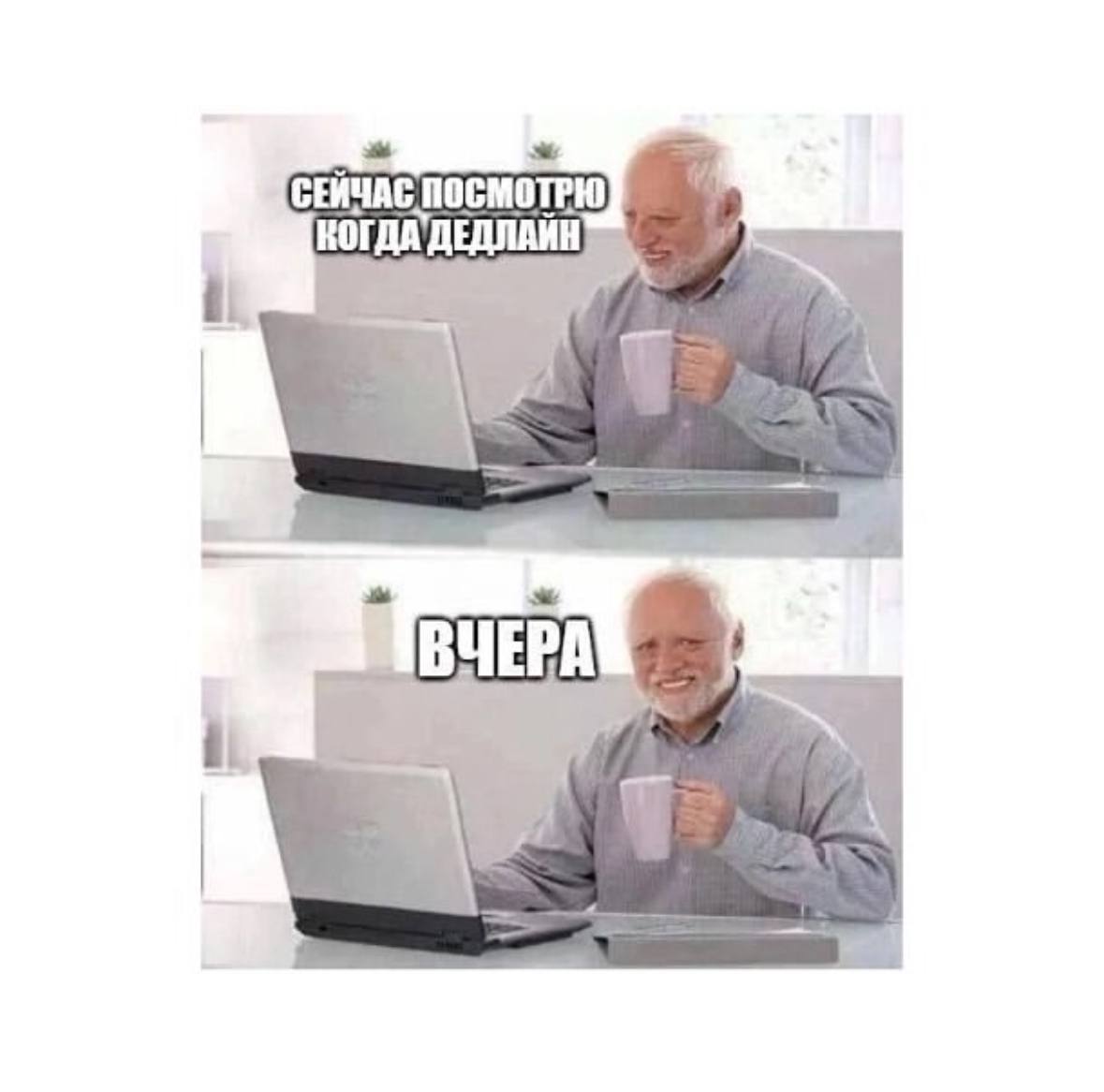 Традиционный легальный просмотр мемов на работе 😉 | Сетка — социальная сеть от hh.ru