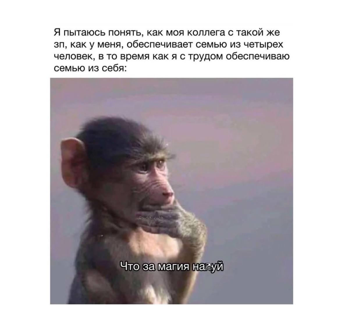 Традиционный легальный просмотр мемов на работе 😉 | Сетка — социальная сеть от hh.ru