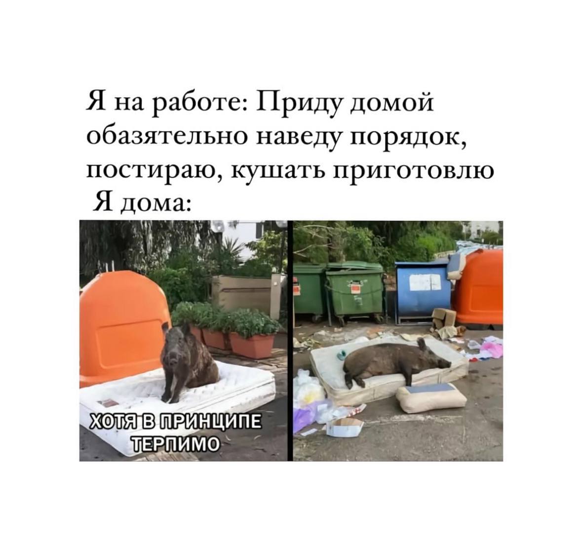 Традиционный легальный просмотр мемов на работе 😉 | Сетка — социальная сеть от hh.ru