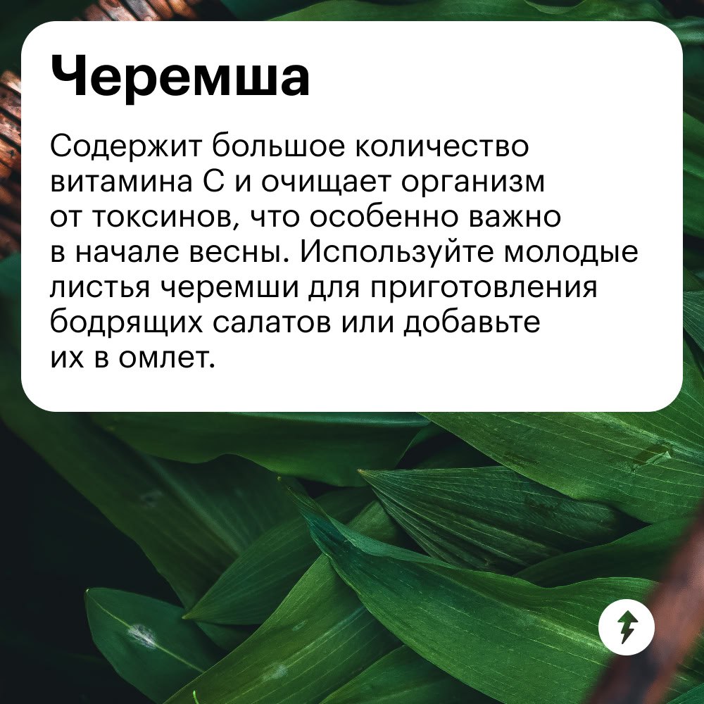 Март — время, когда нашему организму нужно больше витаминов
За зиму мы истощили все запасы, а солнца пока мало. Поэтому так важно есть сезонные овощи и фрукты прямо сейчас | Сетка — социальная сеть от hh.ru