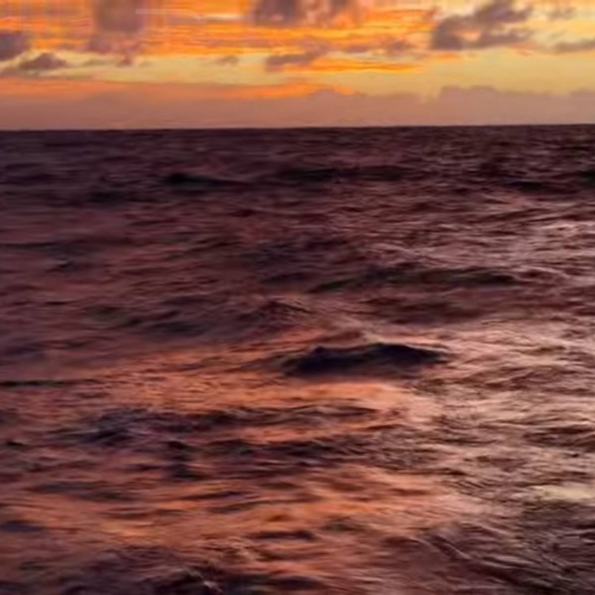 Артем Закатов