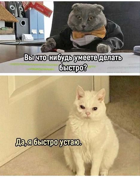 “Держитесь!✊🏻” — худшее, что можно сказать выгоревшей команде
Сегодня модно быть продуктивным, успешным, мотивированным 24/7 | Сетка — социальная сеть от hh.ru