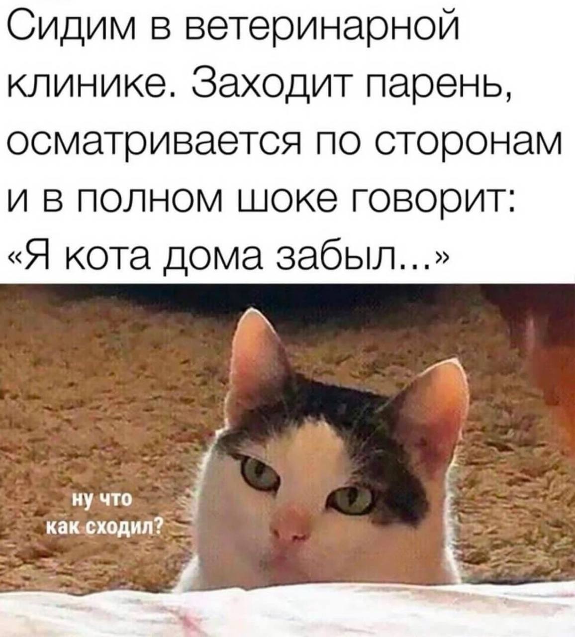 Поднакопилось у меня картинок
Вот вам дроп) | Сетка — социальная сеть от hh.ru